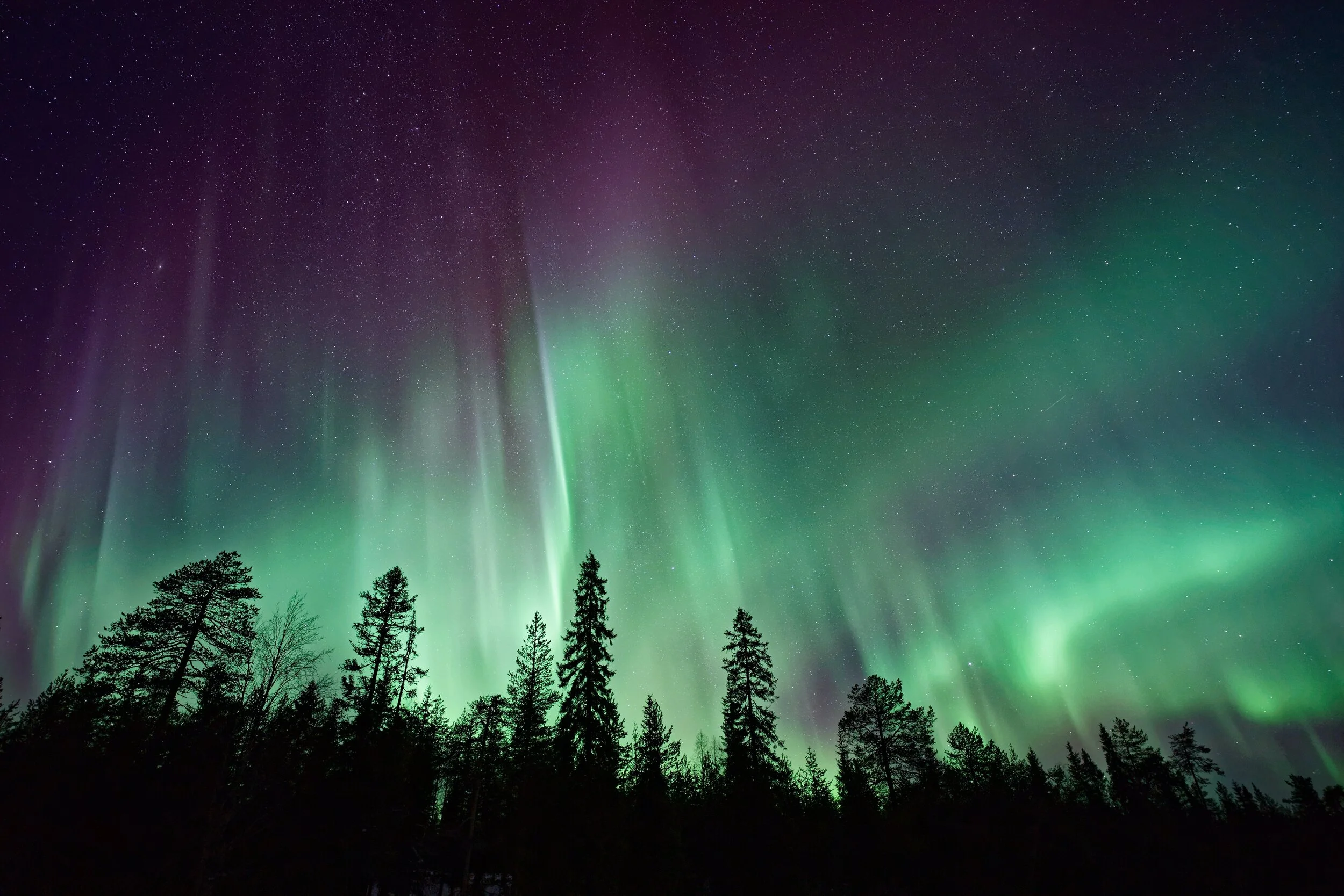 Aurora Wellness Group